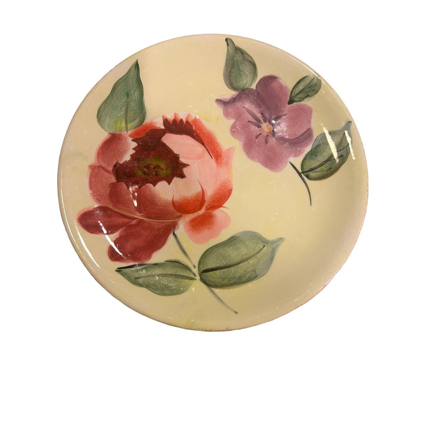 Pfaltzgraff Flower Market Salad Plates Set of 2 8”