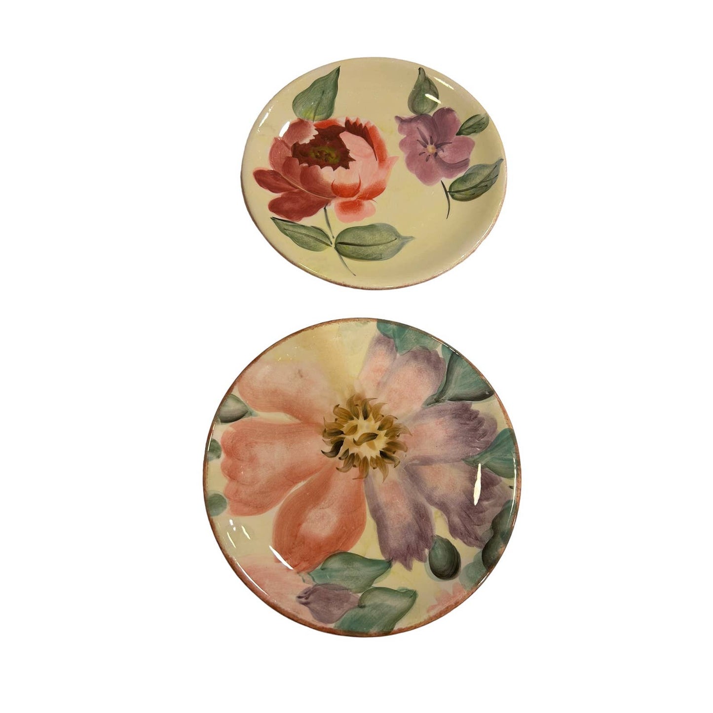 Pfaltzgraff Flower Market Salad Plates Set of 2 8”